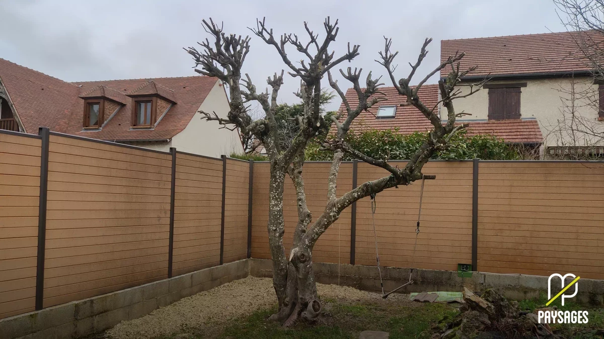 Taille douce des arbres