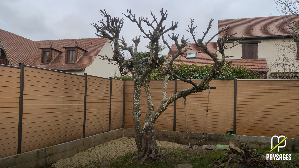 Taille douce des arbres