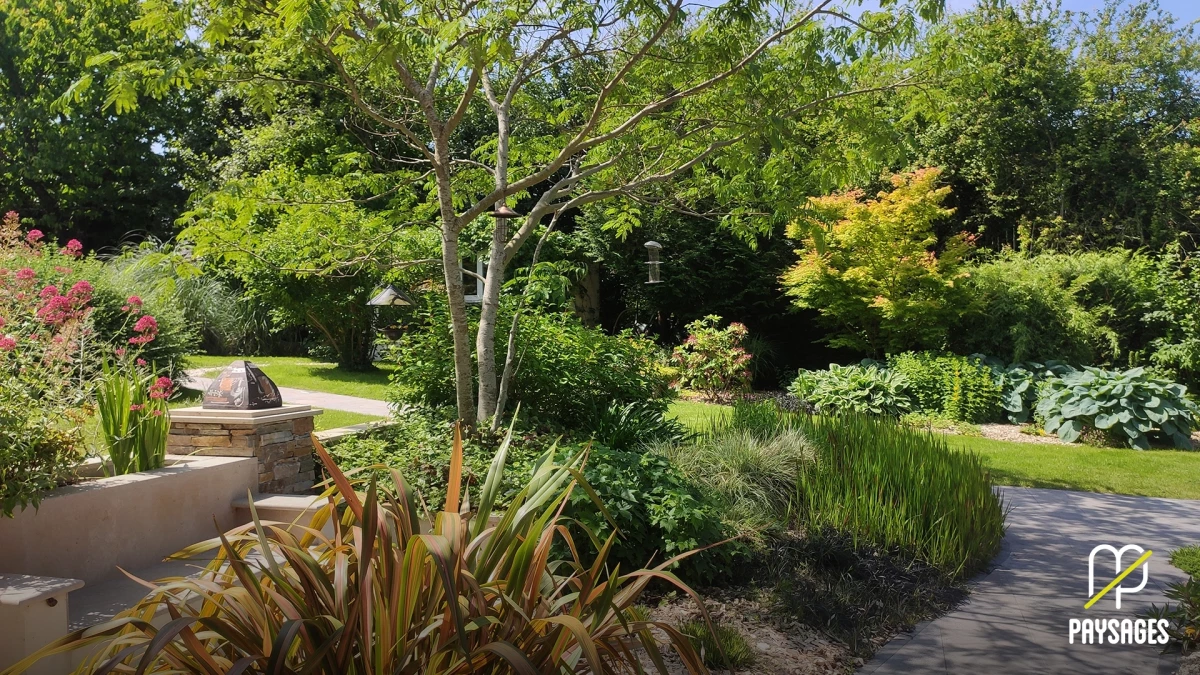 Végétation luxuriante